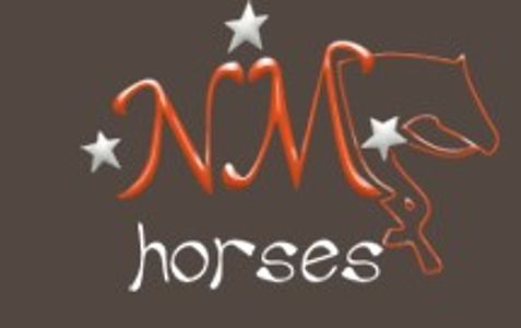 logo centro ippico zorigo