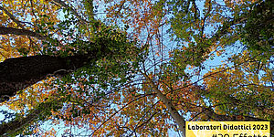 Laboratori Didattici 2023 Effetto Bosco