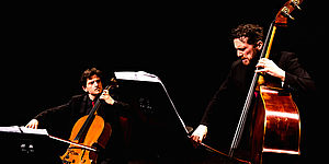 musicisti che suonano viola e violoncello