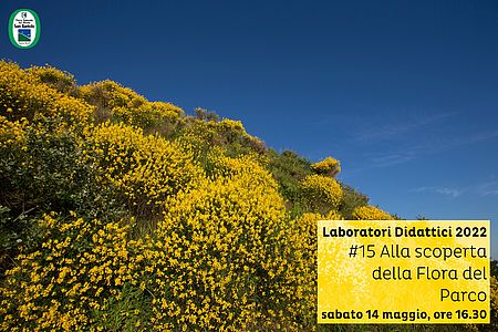 Laboratori Didattici 2022 #15 Alla scoperta della Flora del Parco