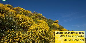 Laboratori Didattici 2022 #15 Alla scoperta della Flora del Parco