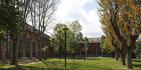 Fotografia del giardino delal biblioteca San Giovann