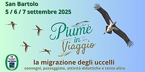 Locandina di Piume in viaggio - l migrazione degli uccelli