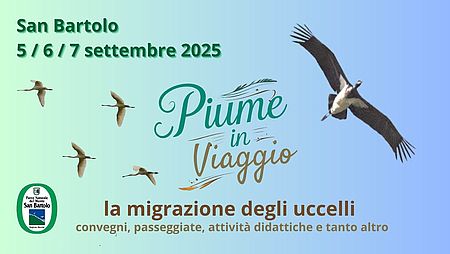 Locandina di Piume in viaggio - l migrazione degli uccelli