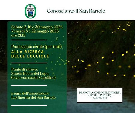 Locandina di Alla ricerca delle lucciole