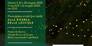Locandina di Alla ricerca delle lucciole