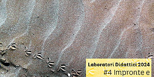 Laboratorio Impronte e indizi degli animali