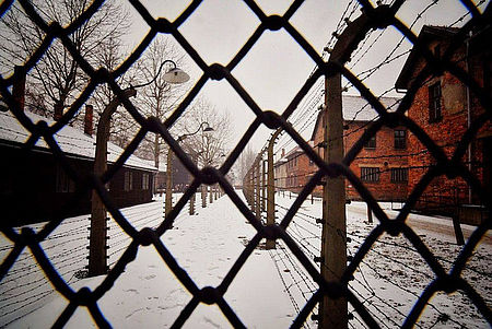 Immagine di Auschwitz