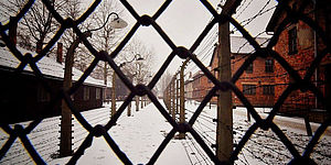 Immagine di Auschwitz