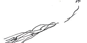 antropologando, decima edizione