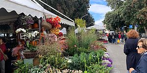 Bancarelle festa dei fiori