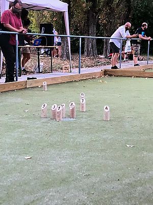 foto pista molkky villa fastiggi