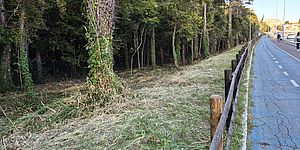 Ciclabile e parco Miralfiore