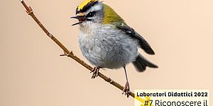 Laboratori Didattici 2022 #7 Riconoscere il canto degli Uccelli