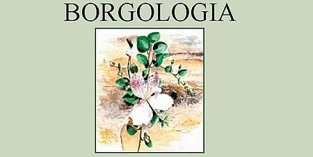 particolare della copertina