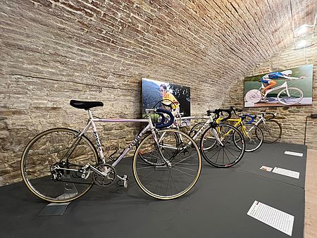 Bici da corsa in esposizione