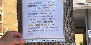 Cartello per piccioni