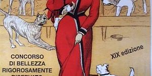 Cane di razzo è bello meticcio è meglio