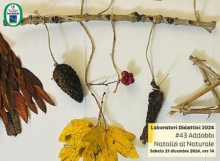 ramo di albero addobbato con pigna e foglie secche