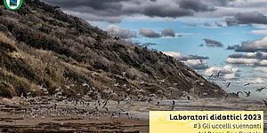 Laboratori Didattici 3 del Parco San Bartolo