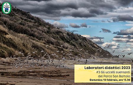 Laboratori Didattici 3 del Parco San Bartolo