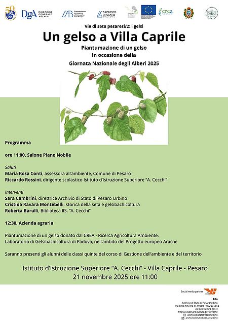 Un gelso a Villa Caprile