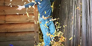 Caccia alla zucca locandina