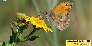 immagie di Caccia ai tesori della natura