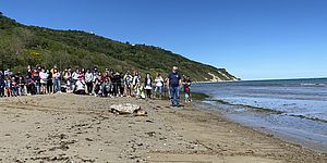 La tartaruga Flaminia torna in mare. Il vicesindaco Vimini: «Presto un’oasi di riadattamento all’acqua per il rilascio di questi animali straordinari»