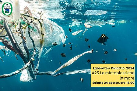 immagine sottomarina con pesci e plastiche sparse