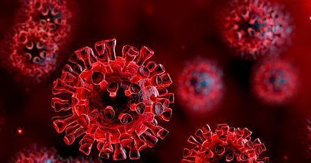 coronavirus