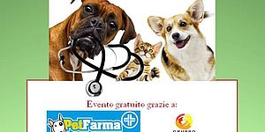 Primo soccorso veterinario locandina