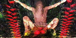 THE NIGHTINGALE I ENVY THE FATE