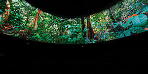 Pesaro 2024 al FuoriSalone con l'installazione Sonosfera® e il progetto ‘Fragments of Extinction /Frammenti di estinzione - Il Patrimonio Sonoro degli Ecosistemi’, del ricercatore e compositore eco-acustico David Monacchi