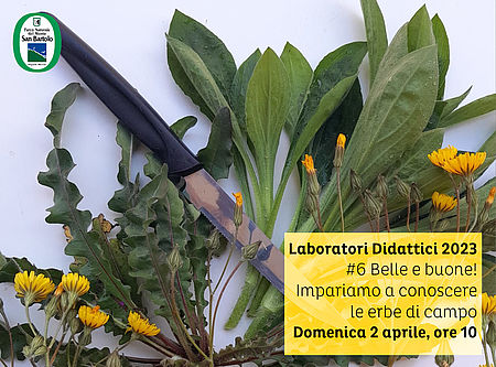 Laboratori Didattici 2023 #6 Parco San Bartolo