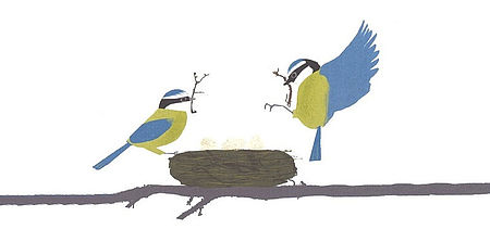 Particolare immagine di Thomas Hegbrook di un libro raffigurante due uccelli ed un nido