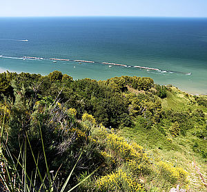 Immagine Parco San Bartolo