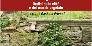 muro di pietra con vegetazione particolare immagine locandina