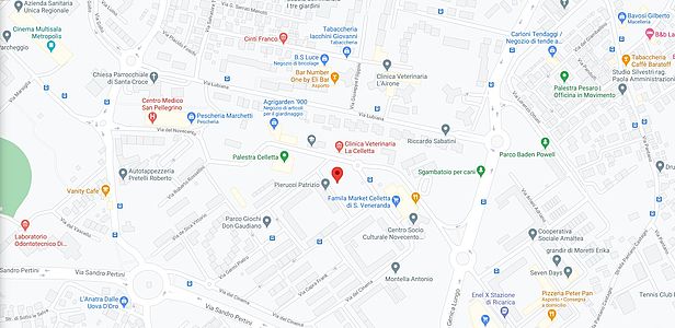 mappa stadio via troisi