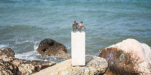 Matteo Fato, Una favola equestre senza cavalcata (Caretta Caretta), 2024 - Ph, Culto Productions