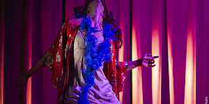 Mephisto. Romanzo di una carriera