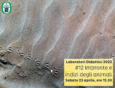 Laboratori Didattici 2022 #12 Impronte e Indizi degli Animali