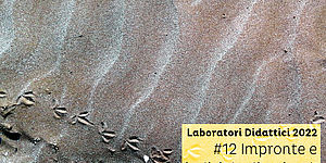 Laboratori Didattici 2022 #12 Impronte e Indizi degli Animali
