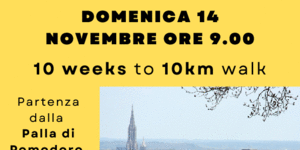 Locandina Walkinprogress