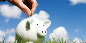 Salvadenaio maialino