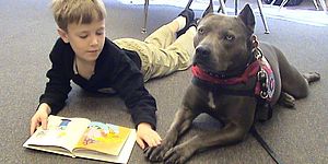 Bimbo che legge con il cane