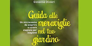 particolare immagine copertina libro