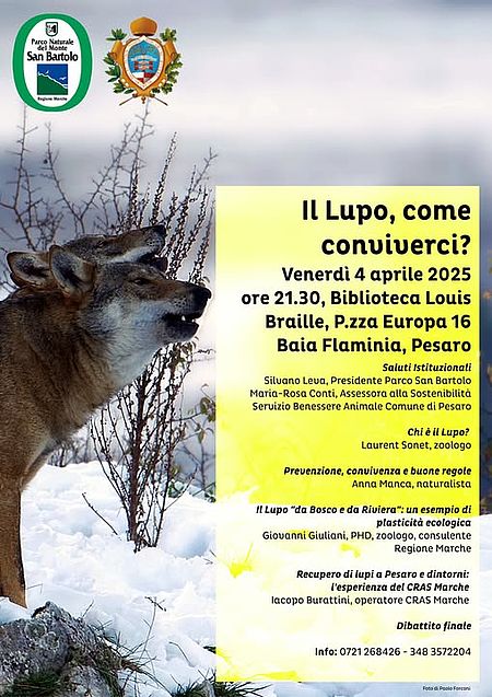 locandina de Il Lupo, come conviverci?