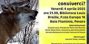 locandina de Il Lupo, come conviverci?