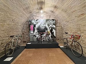 Museo della Bicicletta. Allestimento
